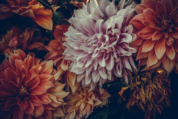 Unlocking Natural Light: Top Tips for Enhancing Daylight in Your North-Facing UK Living Room